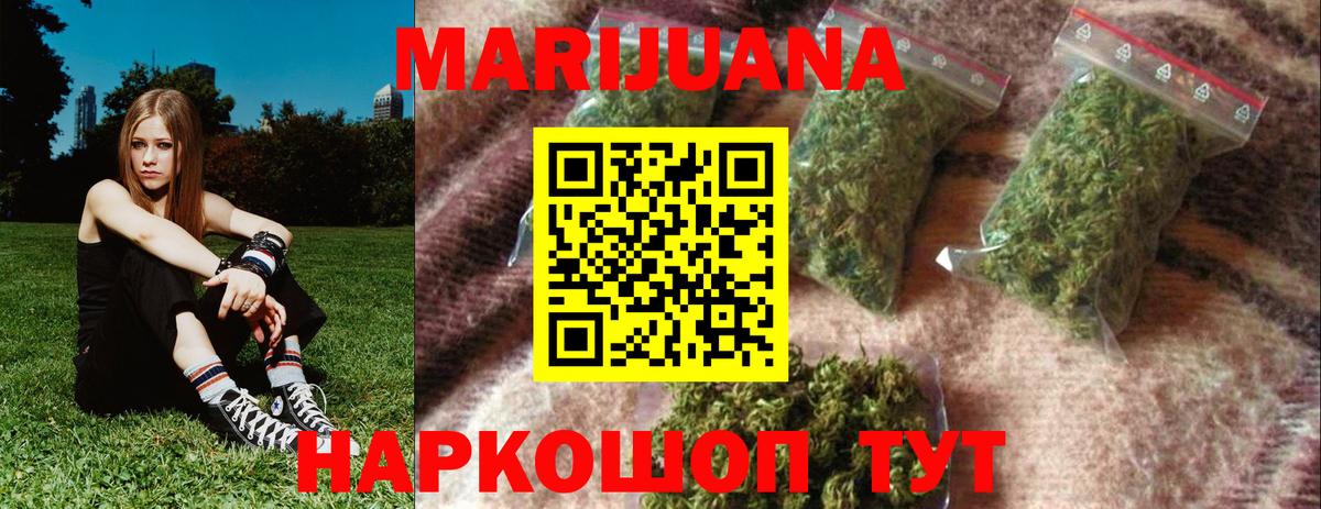Бошки Шишки ГИДРОПОН Бердск